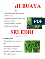 Manfaat Herbal Alami Untuk Kesehatan