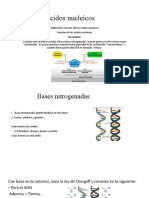 Ácidos Nucleicos