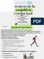 Técnicas de La Cognitiva Conductual