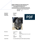 Laboratorium Parasitologi Kura-kura