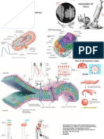 Cell Biology