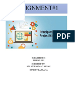Principles Assignment of Project Management