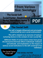 The Self From Various Perspective Sociology
