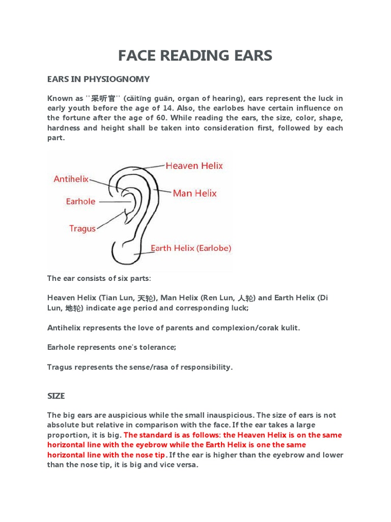 Face Reading Ears PDF Ear