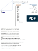 Synoptique Classification Des Mollusques