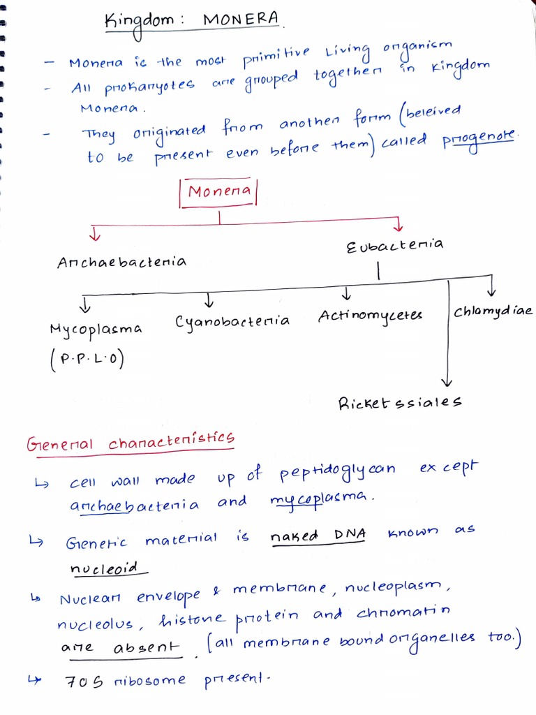Monera - With DPP | PDF | Organisms | Biology