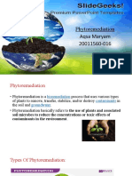 Phytoremediation 20011560-016