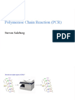 PCR DNA replication explained