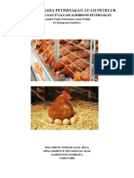 Proposal Ayam Petelur Kelompok Agal Deta Ok