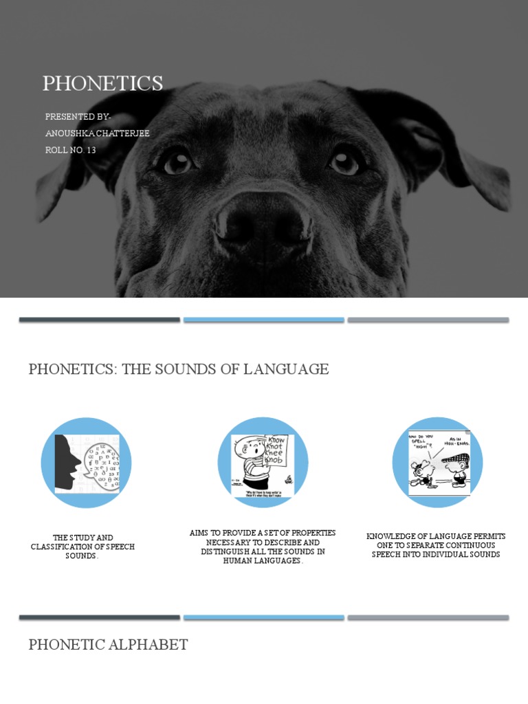Understanding Phonetics and Speech Sounds | PDF | Phonetics | Vowel