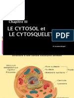 CH3 - Cytosol-Cytosquelette - B.B