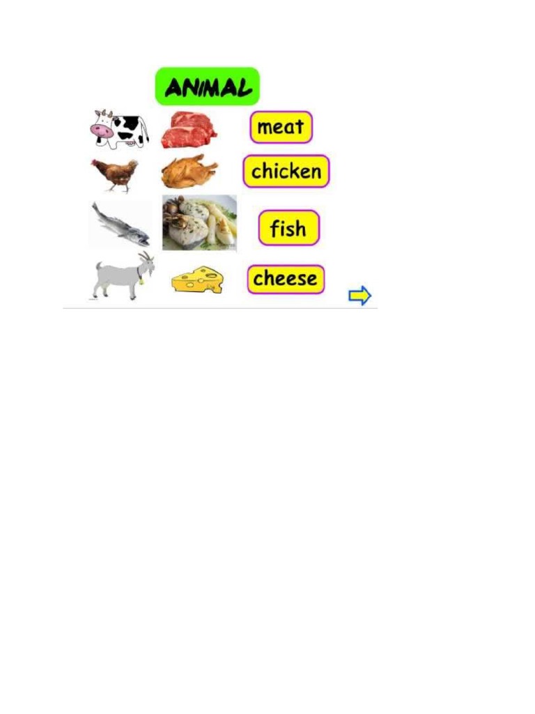 Food Groups | PDF