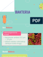 Bakteria Dan Virus