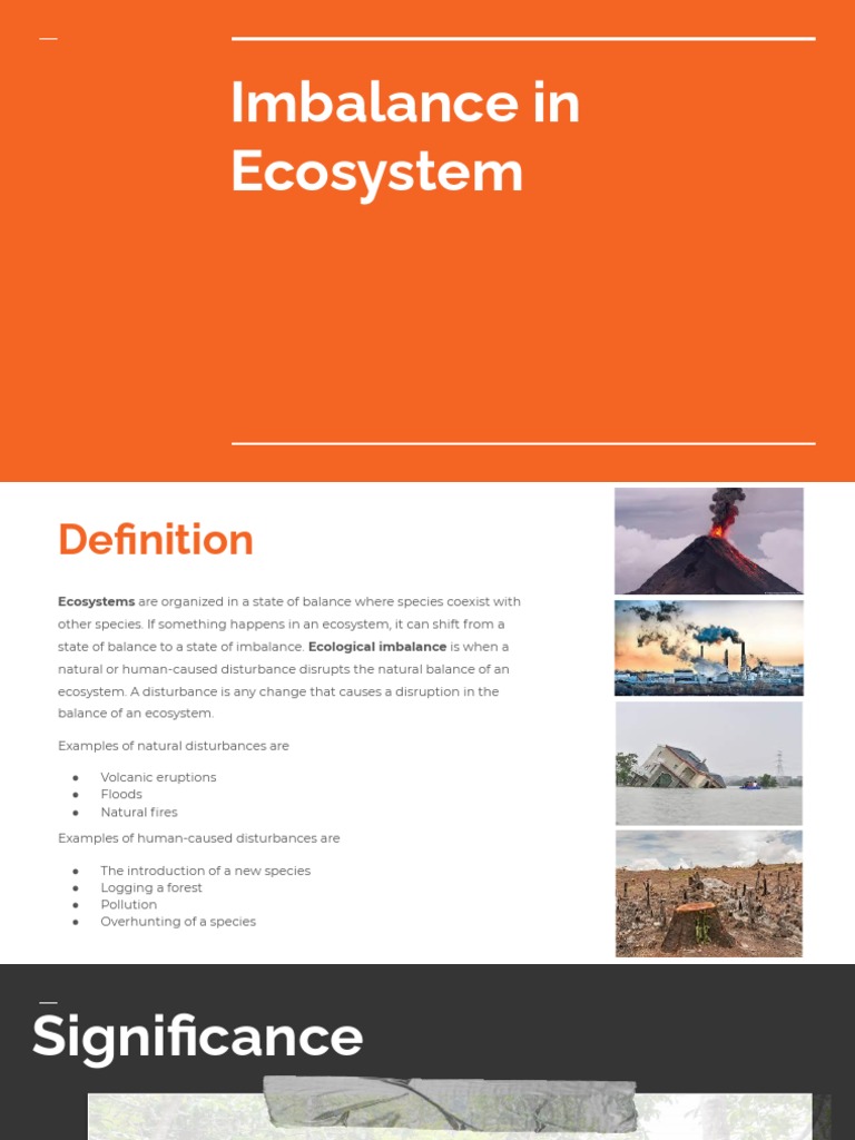 Imbalance in Ecosystem | PDF | Water | Ecology