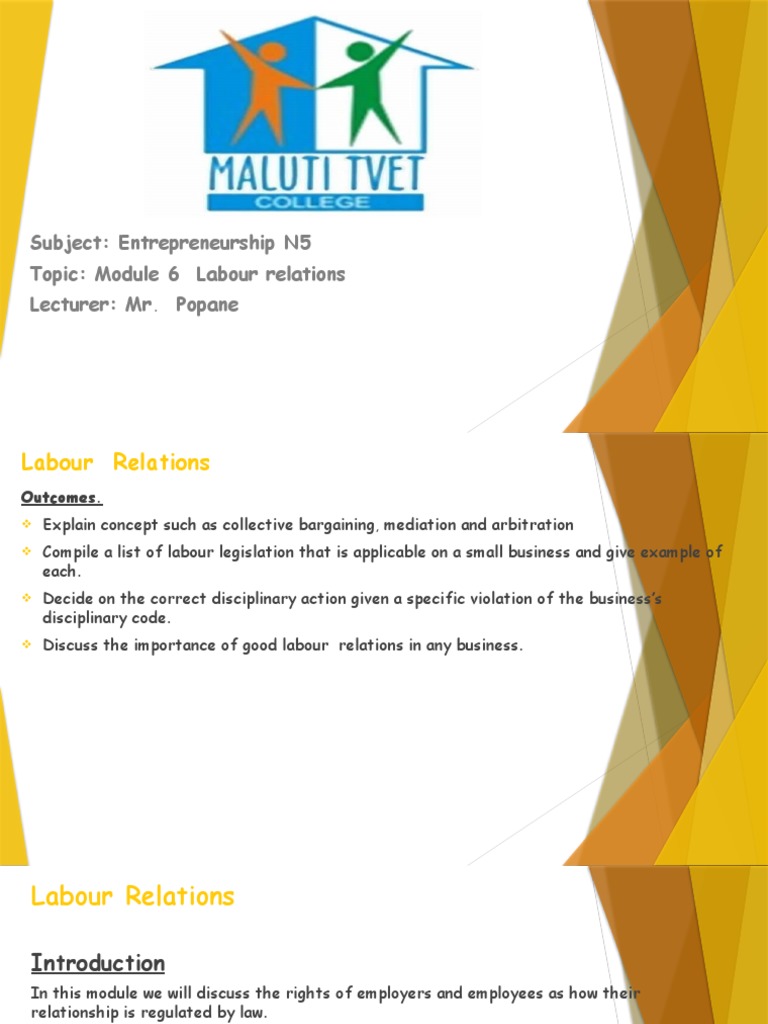 Labour Relations N5 Overview | PDF | Collective Bargaining | Employment