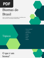 Biomas Do Brasil: Geografia