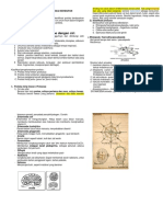 Resume Protista DG Gambar 2