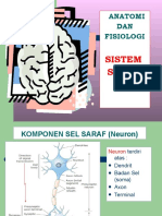 Anfis SISTEM SYARAF (PP)