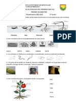 Aporte Del Primer Parcial 1er Quimestre 2022 Ciencias Naturales