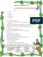 Proyecto de Aprendizaje #2