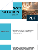 Solid Waste Pollution