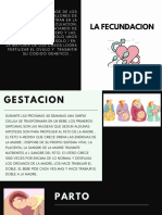 Lago Montañas Lugar de Trabajo Cultura Crecimiento Ancha Presentación