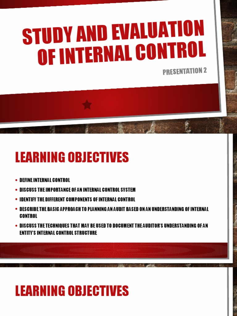 Internal Control System Overview | PDF | Internal Control | Financial Audit