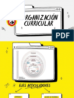 Organización Curricular