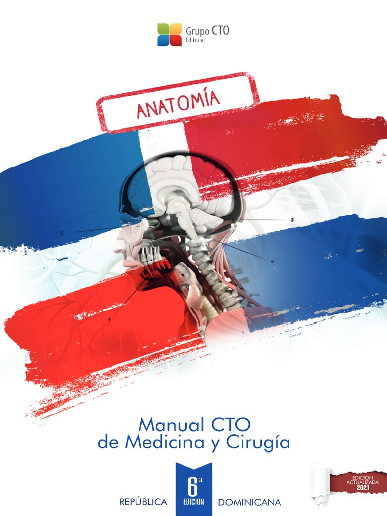 Grupo Cto Anatomia | PDF