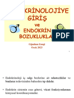 Endokrin Bozukluklar