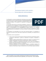 Perfil Profesional Aph Paramédico PDF