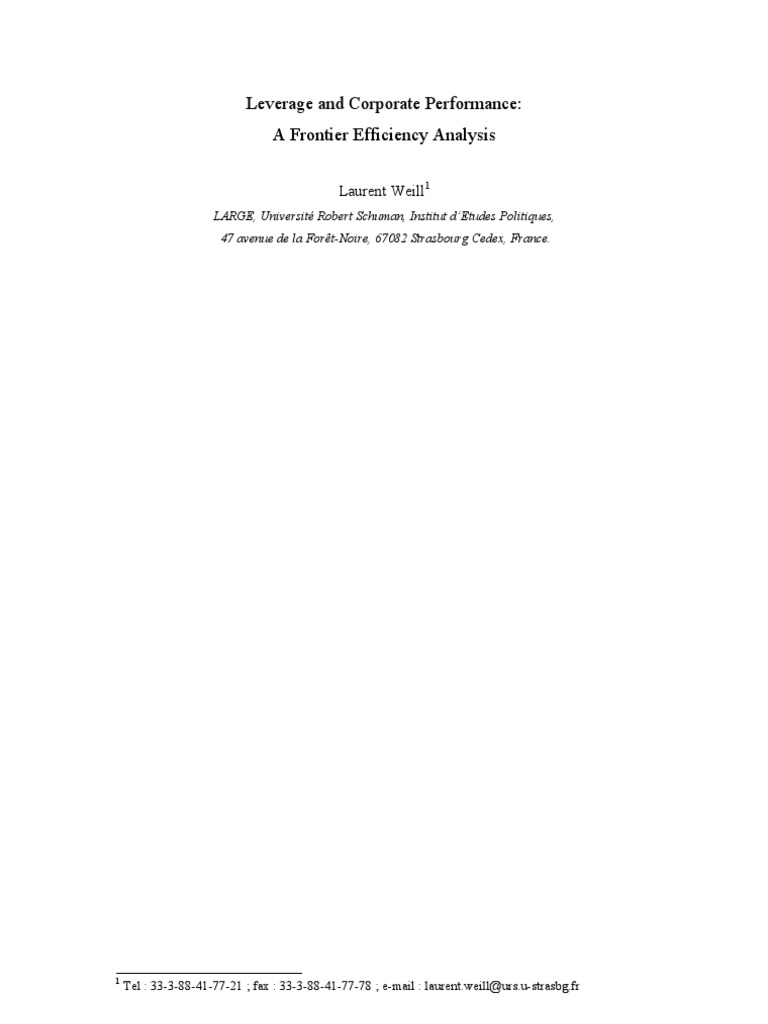 Leverage and Corporate Performance: A Frontier Efficiency Analysis ...