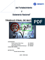 Trabajo Final de MATEMÁTICA