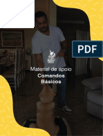 Cópia de PDF - Comandos Básicos