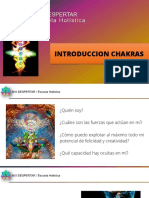 Biodespertar Chakras Introduccion