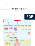 Stimuli and Response