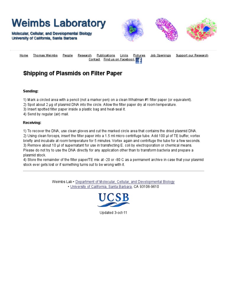 Shipping of Plasmids On Filter Paper PDF