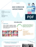 Caso Clinico Apicectomia - Cirugia 045 - Aylen Flores