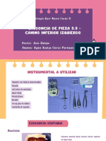 Exodoncia de Pieza 3.3 - Aylen Flores Parisuaña