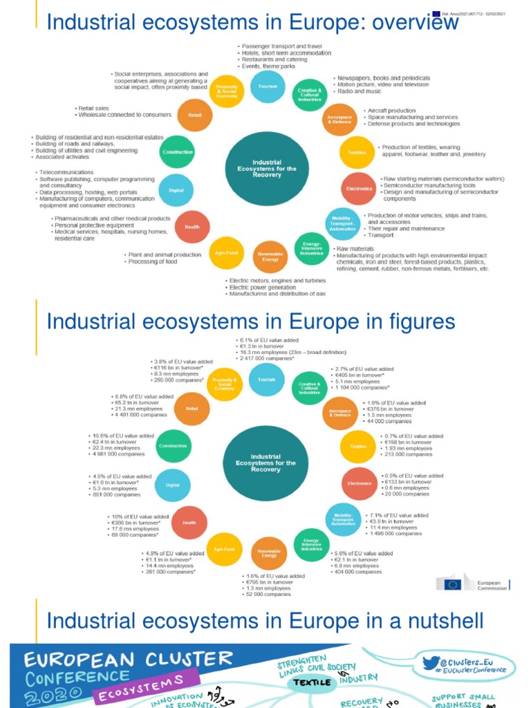 Overview of Europe's Industrial Ecosystems | PDF