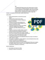 Alergias e irritaciones: causas, síntomas y primeros auxilios