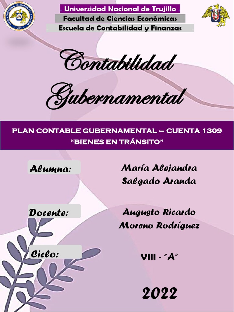 Plan Contable Gubernamental 1309 | PDF