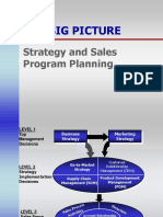 Strategy and Sales Program Planning