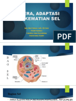 Cedera, Adaptasi Dan Kematian Sel