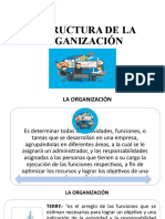 Estructura de La Organizacion