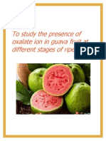 To Study The Presence of Oxalate Ion in Guava Fruit at Different Stages of Ripening