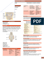 .1 Arthritides-P1