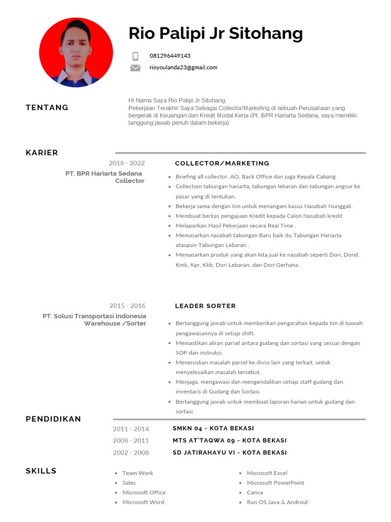 CV Rio Palipi Jr Sitohang | PDF | Bisnis