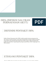 Ispa (Infeksi Saluran Pernafasan Akut)