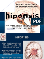 Hipotálamo Hipófisis